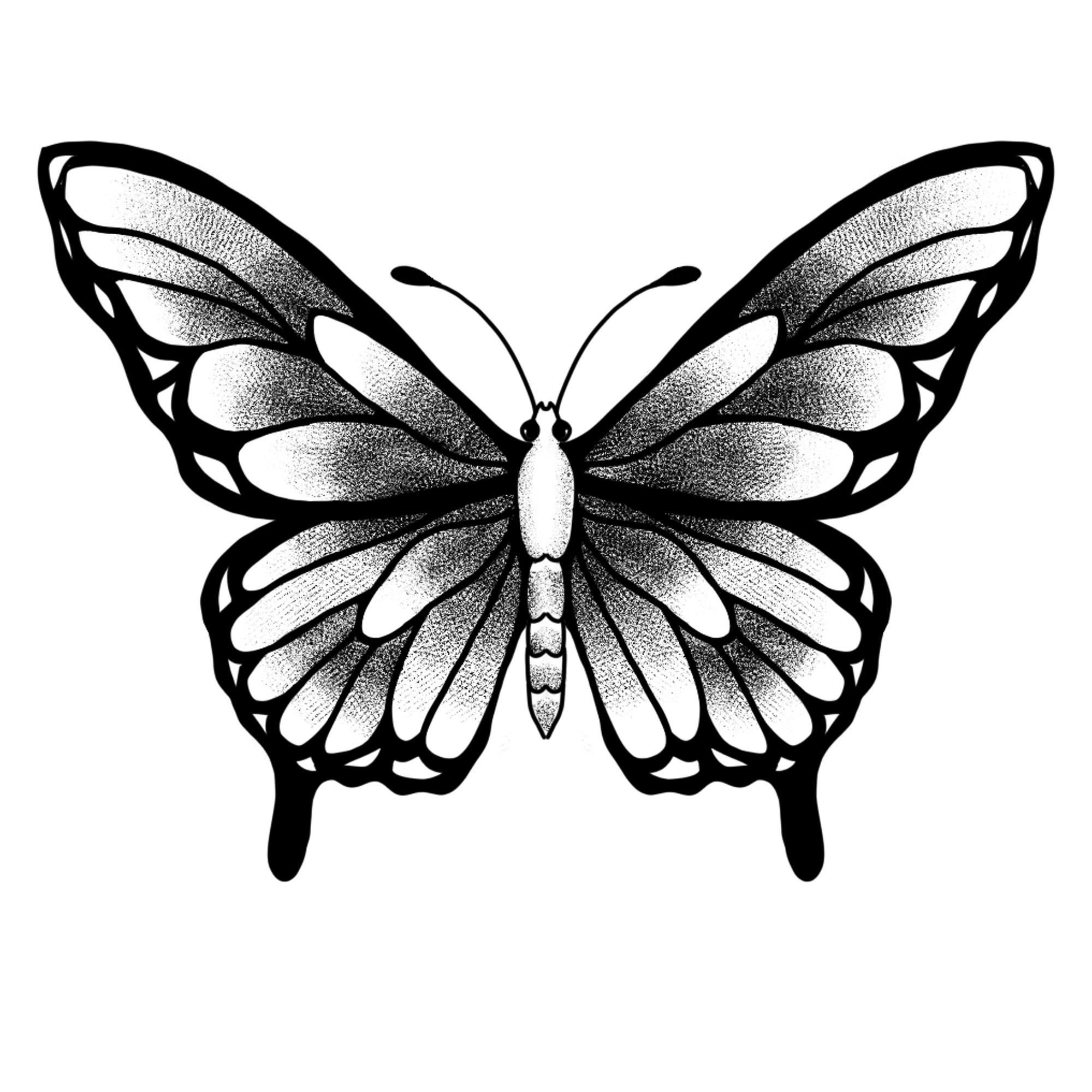 Stipple-style butterfly illustration from an upcoming issue
