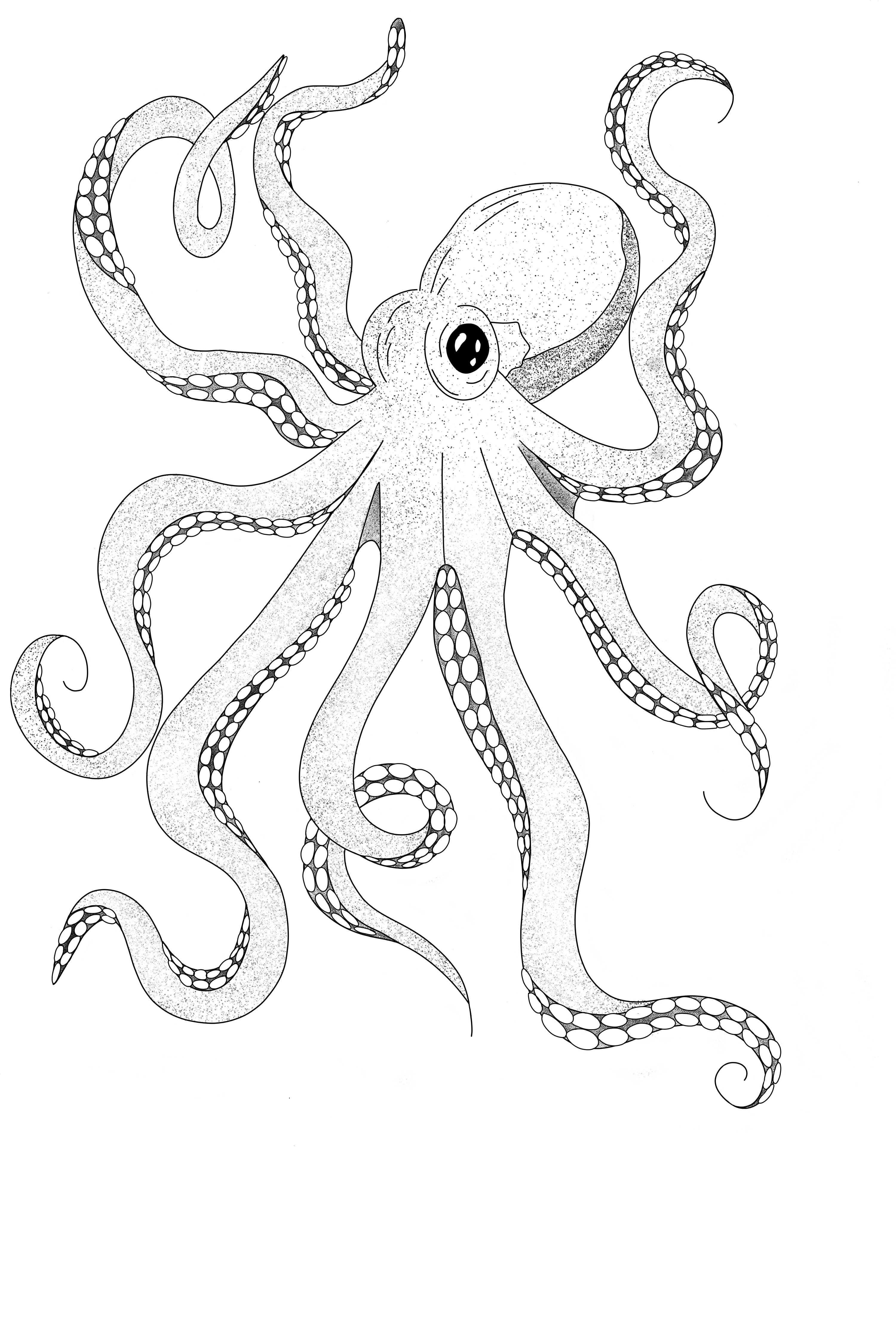 Stipple-style octopus illustration from an upcoming issue